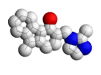 Antibody