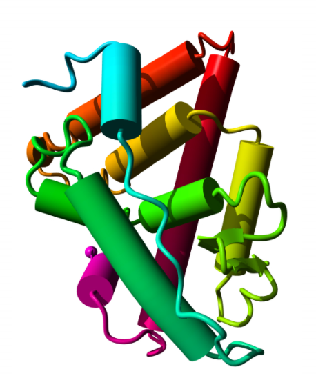 Anti-GFP (Rat IgG2a) Monoclonal (Clone: GF090R) - 50ug